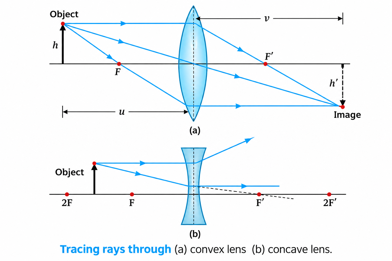 Figure 9.17: Rules for tracing rays through convex and concave lens.